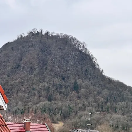 Modernes Am Bodensee شقة سينغن